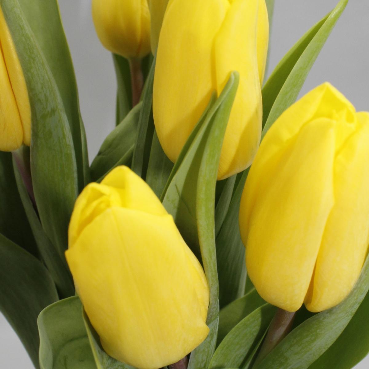 10x | Gele tulpen | Klein boeket