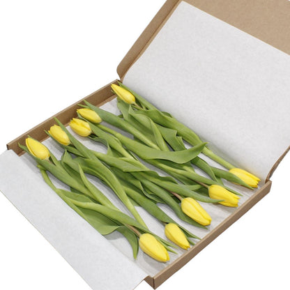 10x | Gele tulpen | Klein boeket