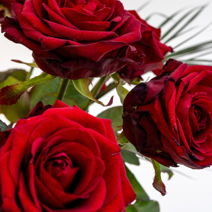 Boeket 'Red Roses' | Rode roze & Eucalyptusblad | 50cm