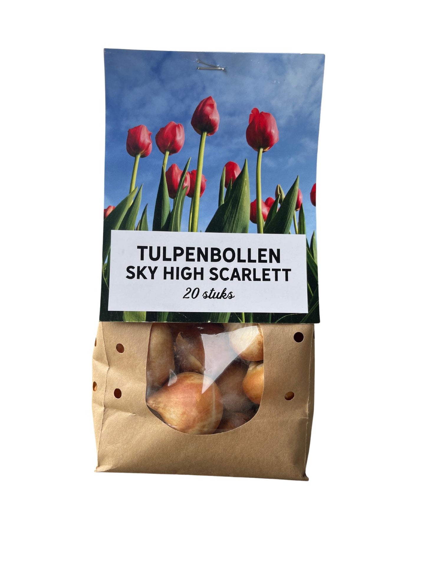 20x | Sky High Scarlett | Rode tulpenbollen