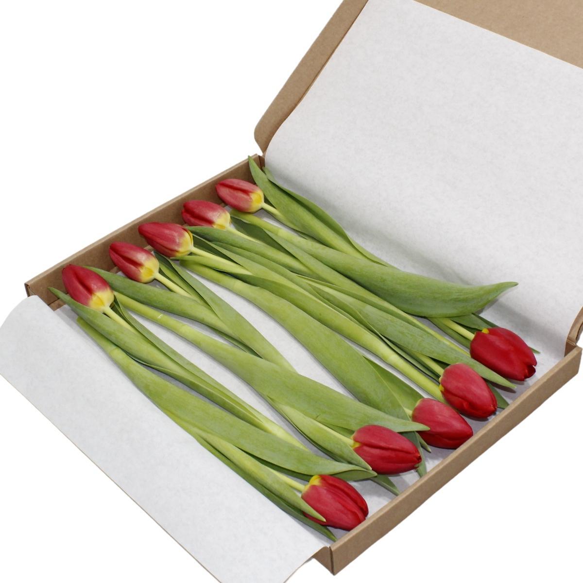 10x | Rode tulpen | Klein boeket