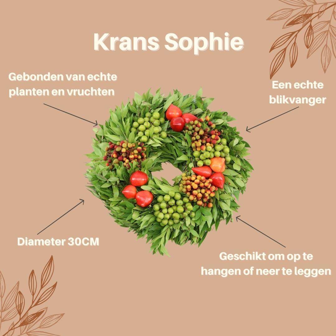 Herfst decoratie krans | Van echte planten en vruchten | 30cm | Sophie
